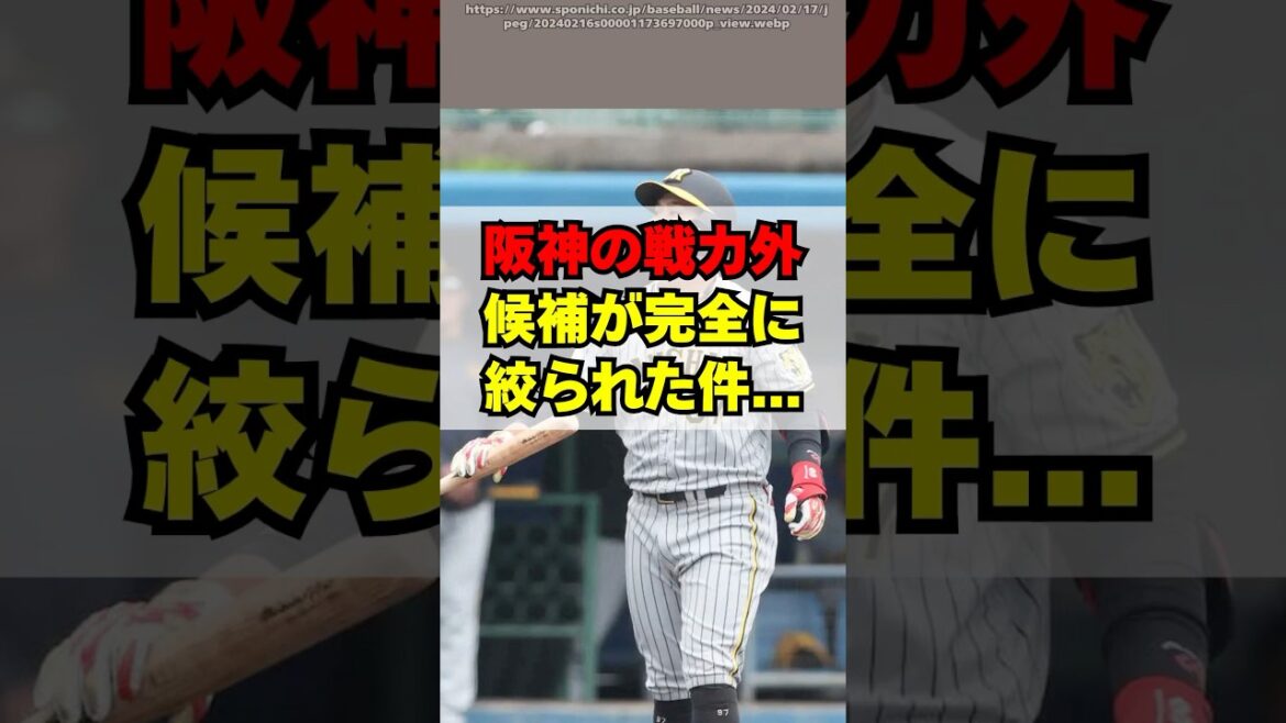 阪神タイガースの戦力外通告候補、完全に絞られる・・・