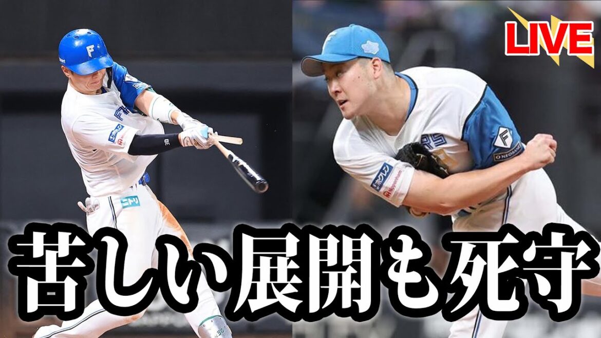 【新方程式】4番郡司が最高の仕事弾！水谷＆石井の長打も活きる。新方程式・正義→友貴哉が終盤のファイターズの鍵となれ【斎藤友貴哉】【郡司裕也】【田中正義】