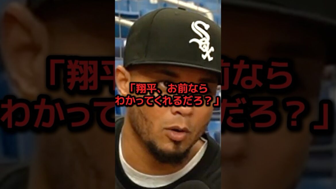 大谷にフォロー解除されたマルドナードがパドレスをクビになった結果....