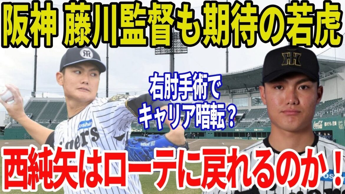【阪神タイガース】西純矢の復帰プランを徹底解説！昨季の低迷から右肘手術を経て再起を誓う若虎