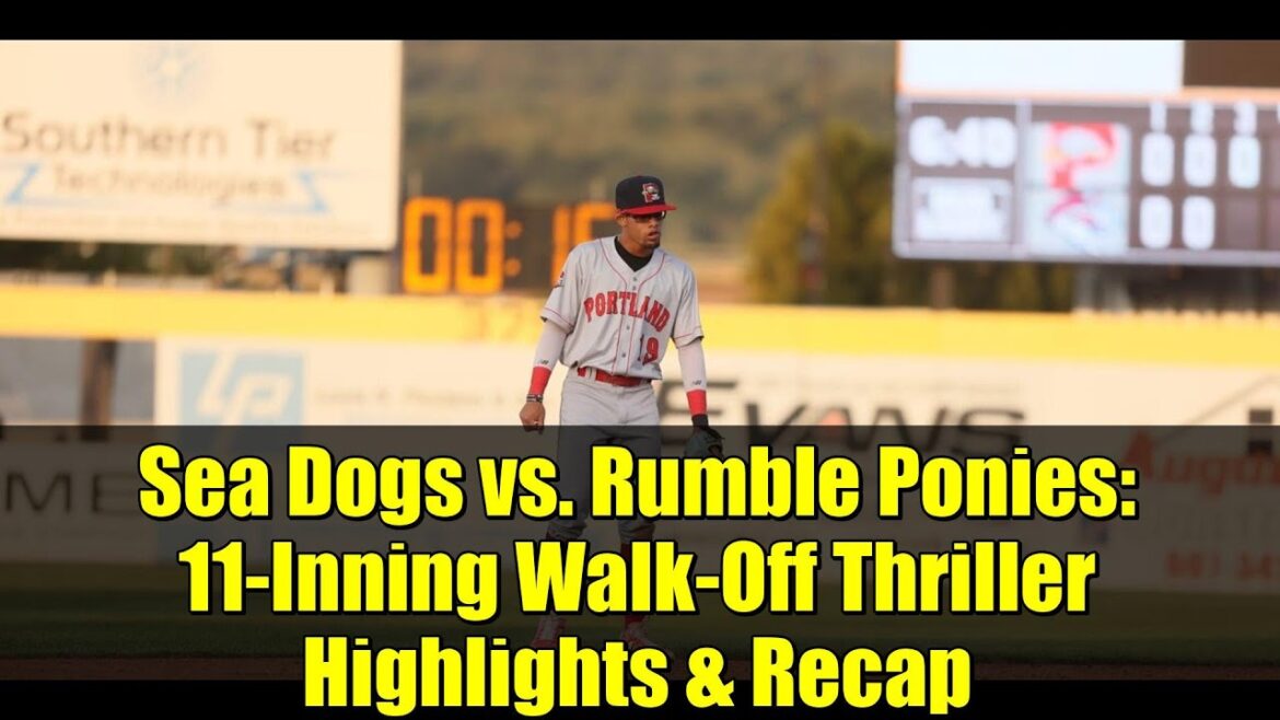 シー・ドッグス対ランブル・ポニーズ:11回サヨナラ劇のハイライトと試合結果 シー・ドッグス対ランブル・ポニーズ:11回サヨナラ劇のハイライトと試合結果