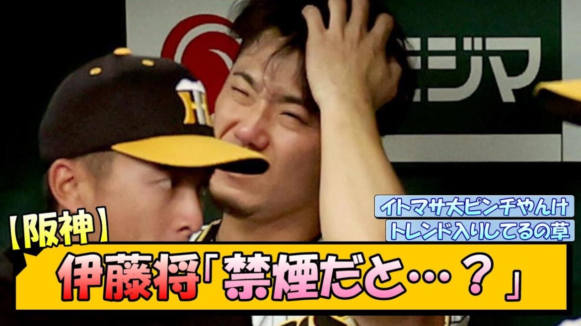 【阪神】伊藤将「禁煙だと…？」【なんJ/2ch/5ch/ネット 反応 まとめ/阪神タイガース/岡田監督/伊藤将司/藤川球児】