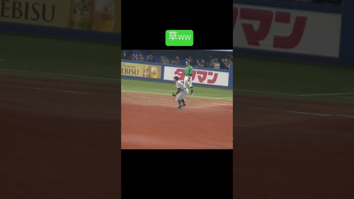 【仲良いのね】サード 岡本和真 西川遥輝と目があって追われるｗｗ（2024年7月5日ヤクルトスワローズ対 読売ジャイアンツ）