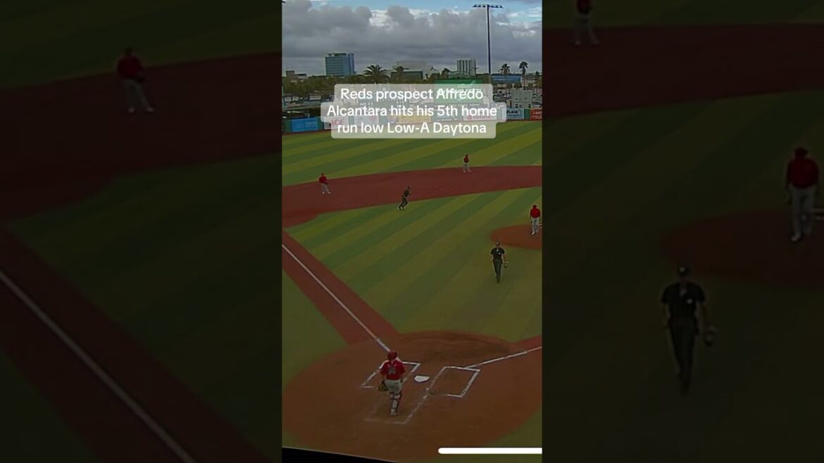 Reds prospect Alfredo Alcantara hits his 5th home run low Low-A Daytona