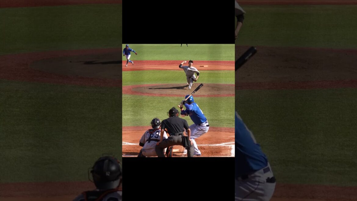 【巨人】球際が強く送球が正確な中田歩夢選手 #shorts #baseball #sports #ジャイアンツ #巨人 #プロ野球