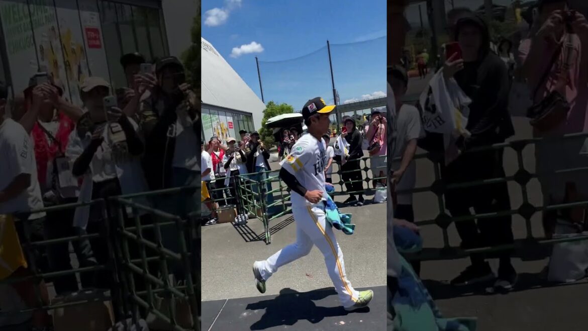 人気者の今宮健太