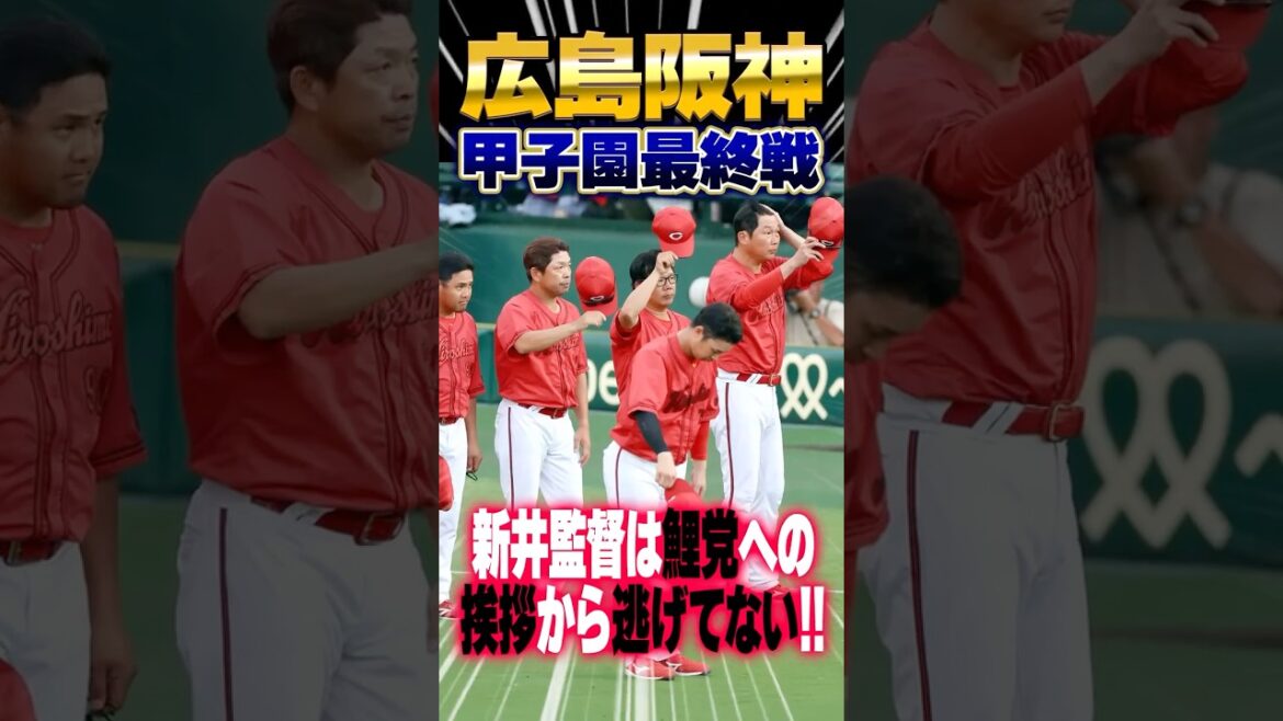広島カープ新井監督は『甲子園最終戦の挨拶』から逃げたわけではない。阪神優勝に敬意を表して自粛 #新井貴浩 #カープファン #カープ