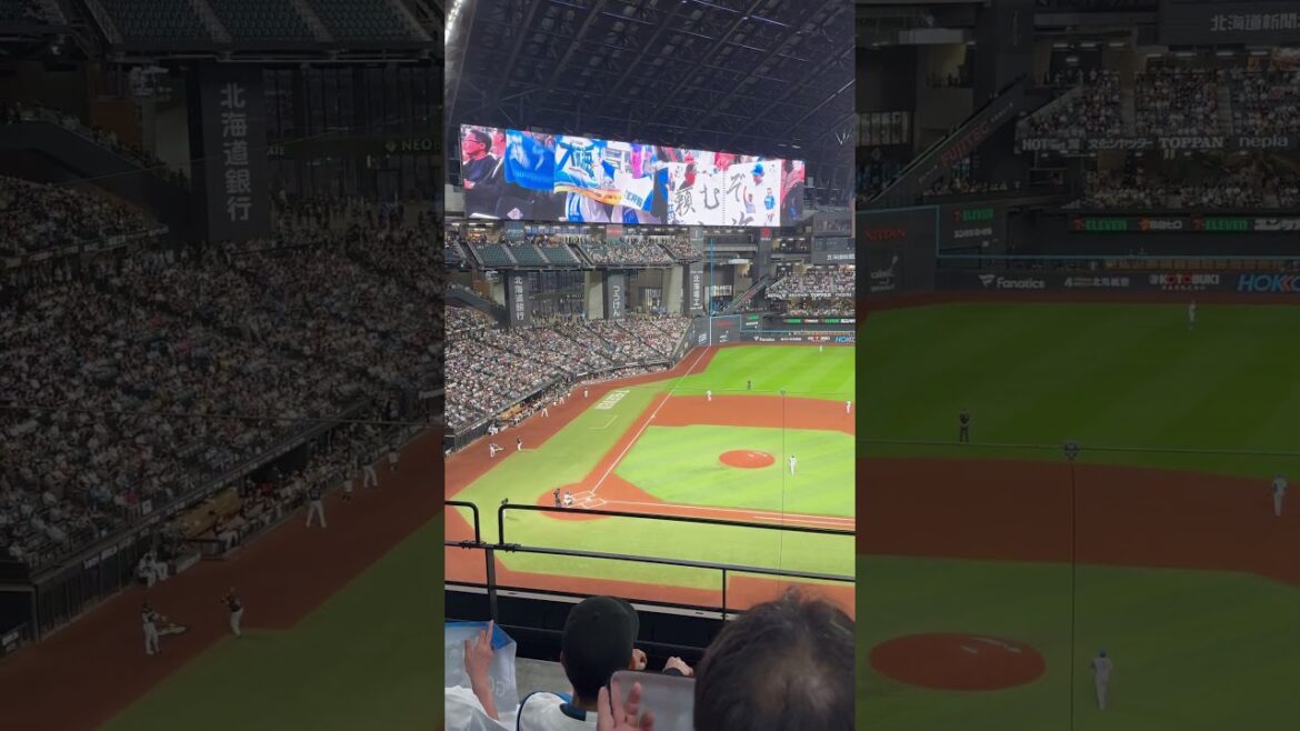 2025年9月9日 北海道日本火腿鬥士 伊藤大海先發登場