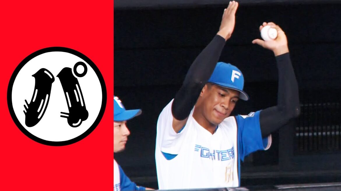 【パ】パパパパパパパパイナポーッ!!【まとめるほどではないまとめ】