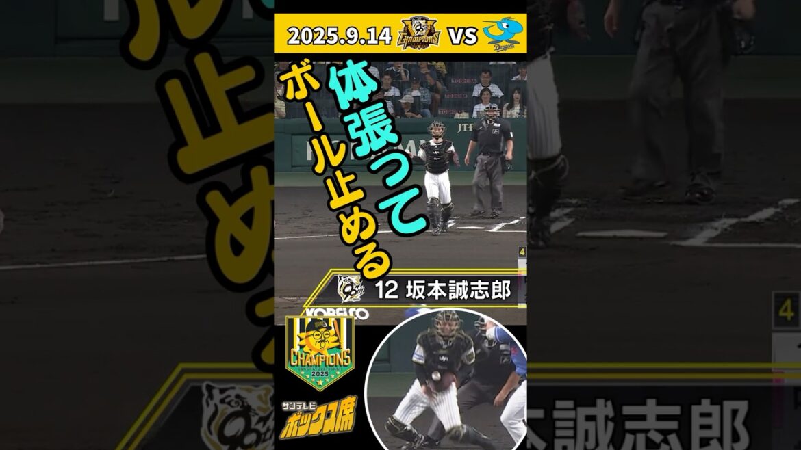 【扇の要】坂本誠志郎選手 ワンバウンドの投球も平然とキャッチ(2025年9月14日 阪神ー中日) #サンテレビボックス席 【扇の要】坂本誠志郎選手 ワンバウンドの投球も平然とキャッチ(2025年9月14日 阪神ー中日) #サンテレビボックス席