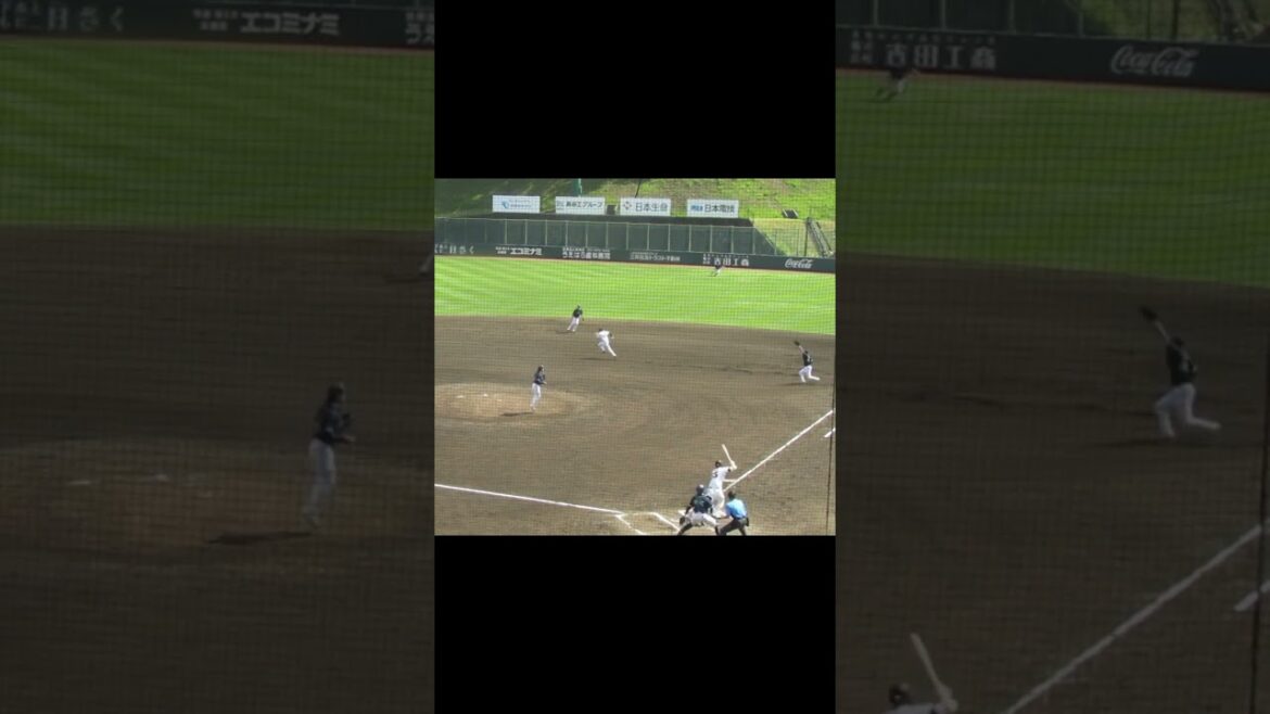 秋広優人 原樹理から同点タイムリーヒット2024年5月29日 読売ジャイアンツ対ヤクルトスワローズ