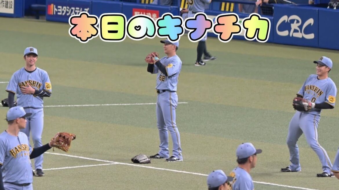 本日のキナチカ