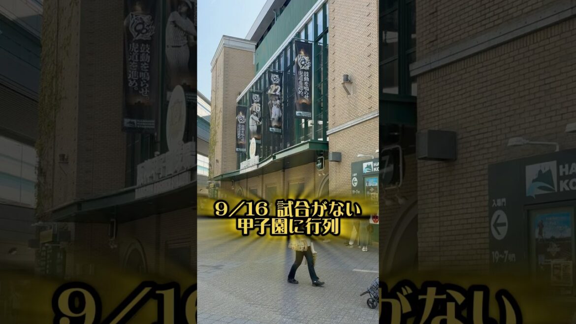 試合がない甲子園に行列 25/9/16 #阪神 #阪神タイガース #阪神ファンと繋がりたい #甲子園 #阪神優勝 #阪神甲子園球場 #佐藤輝明 #hanshintigers #プロ野球 #阪神優勝