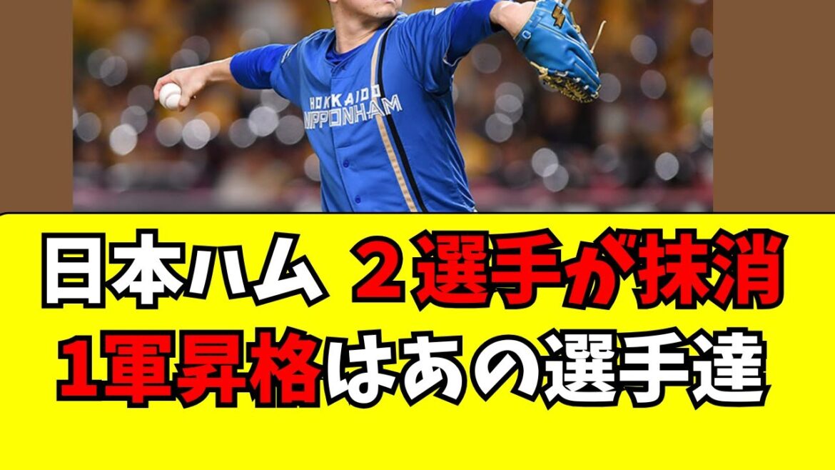 【日本ハム】メンバー入れ替え！２選手抹消、昇格はあの選手