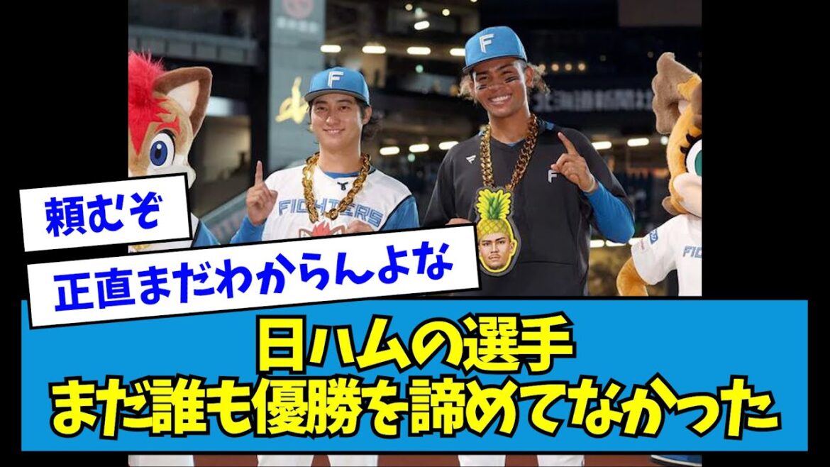 【朗報】日ハムの選手、まだ誰も優勝を諦めてなかった【なんJ反応】