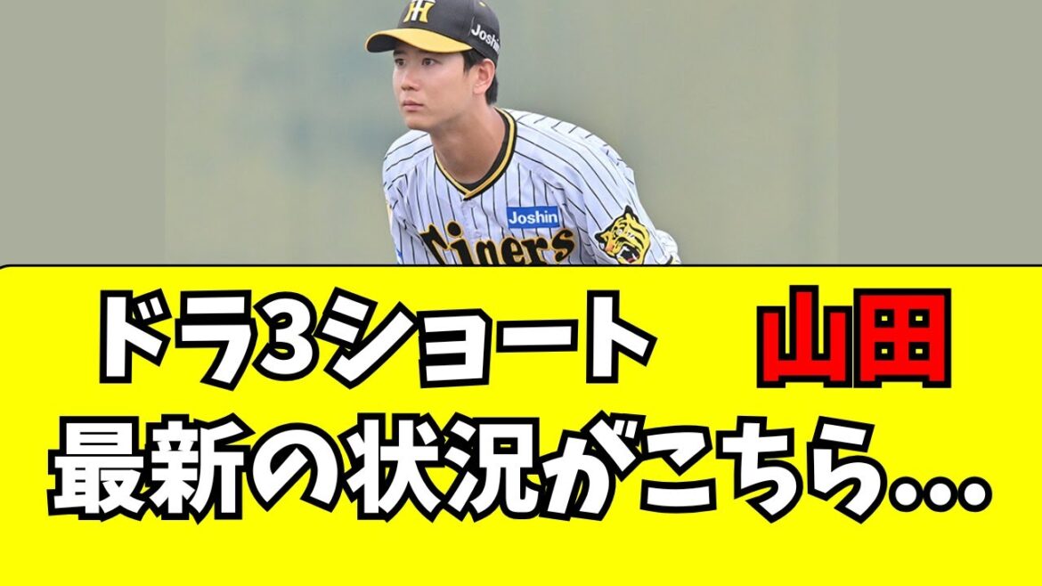 【阪神】ドラ3ショート山田脩也の最新の状況がこちら・・・