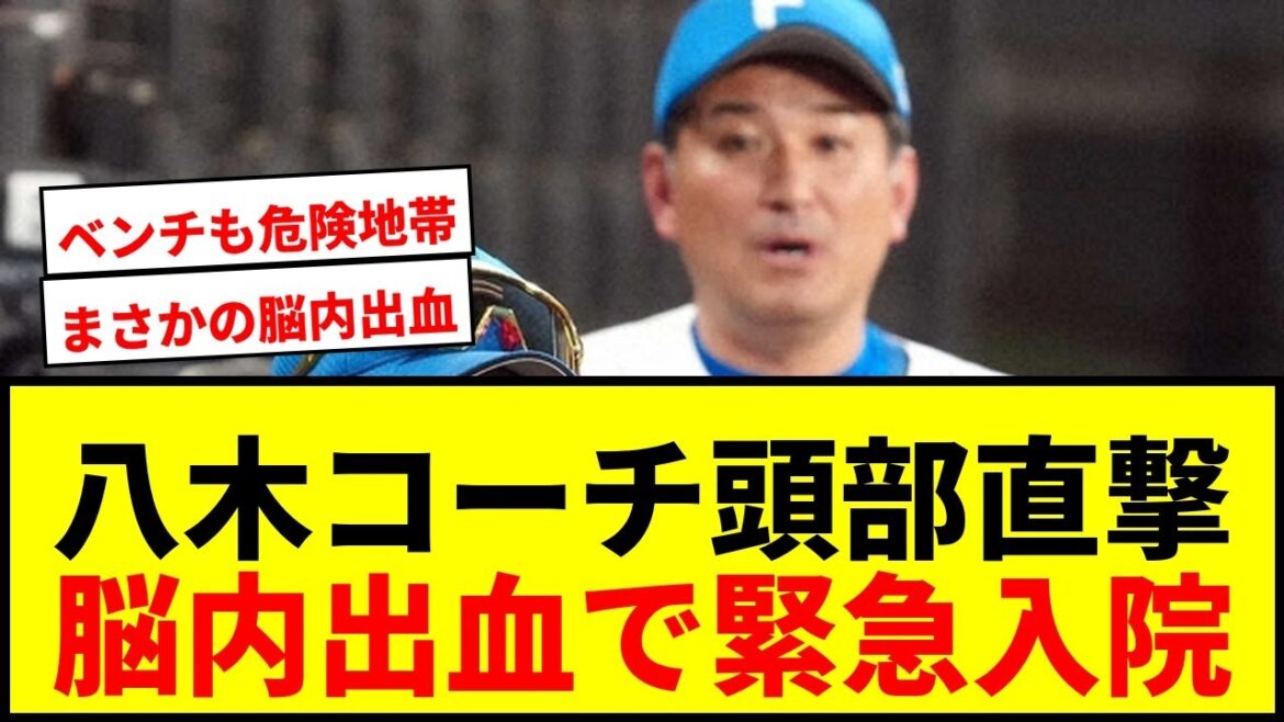 【速報】日本ハム・八木打撃コーチ、頭部バット直撃で脳内出血と腫れ!横尾2軍打撃コーチが1軍同行へ 【速報】日本ハム・八木打撃コーチ、頭部バット直撃で脳内出血と腫れ!横尾2軍打撃コーチが1軍同行へ