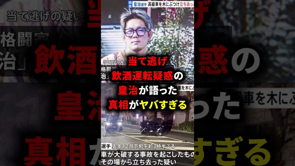 当て逃げ飲酒運転疑惑の皇治が語った真相がヤバすぎる #格闘技 #mma #rizin #皇治