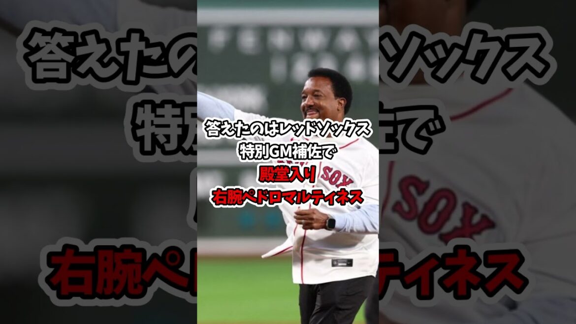 アーロンジャッジ特大弾！ペドロマルティネスが攻略法を語る