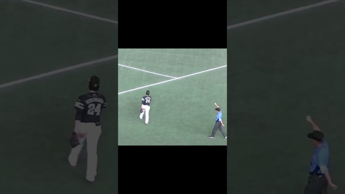 ファウルボールを捕ろうとする観客に競り勝つ栗原陵矢さん【読売ジャイアンツ対ソフトバンクホークス2024年5月30日】　#エキサイトシート