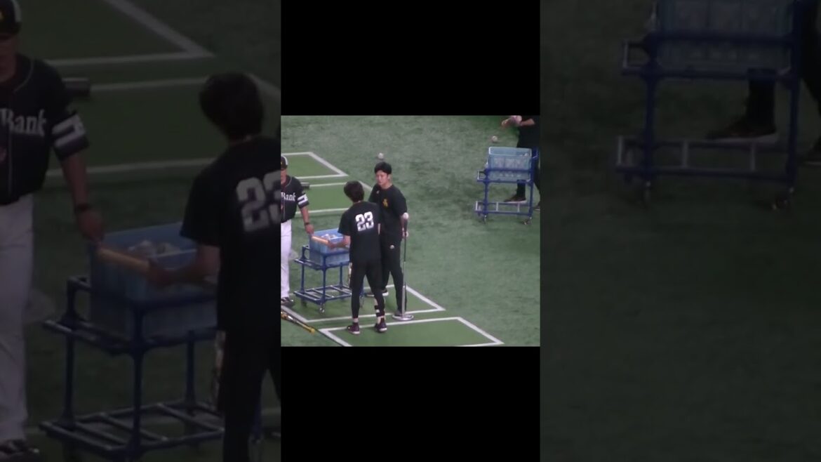 ソフバン周東佑京のティーバッティング【読売ジャイアンツ対ソフトバンクホークス2024年5月30日】