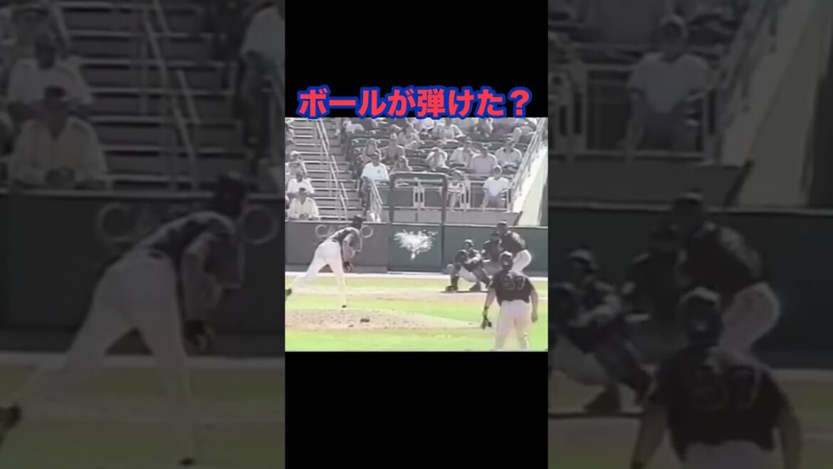 ボールが破裂した⁉️#野球 #ルール #審判 #mlb #投球 #動物 #当たる#鳥
