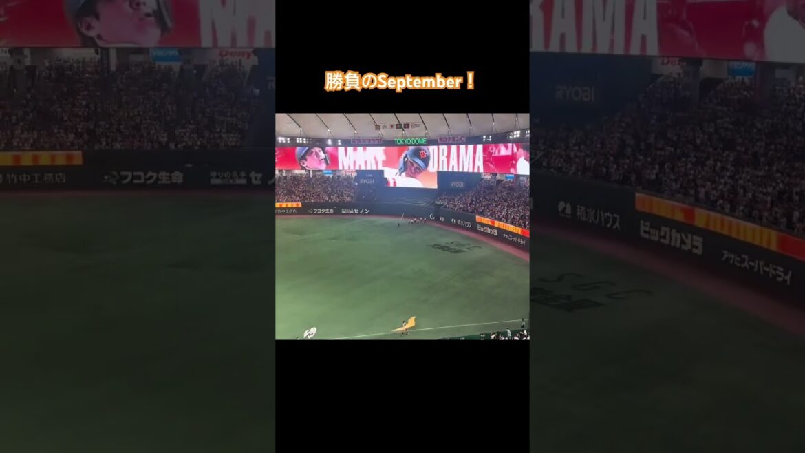《本編も見てね》【勝負のSeptember】　#プロ野球 #読売ジャイアンツ #巨人 #giants #野球 #september #baseball #東京ドーム