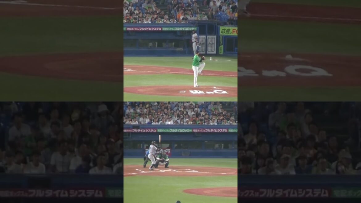 吉川尚輝を三振にとる石山泰稚（2024年7月5日ヤクルトスワローズ対 読売ジャイアンツ）