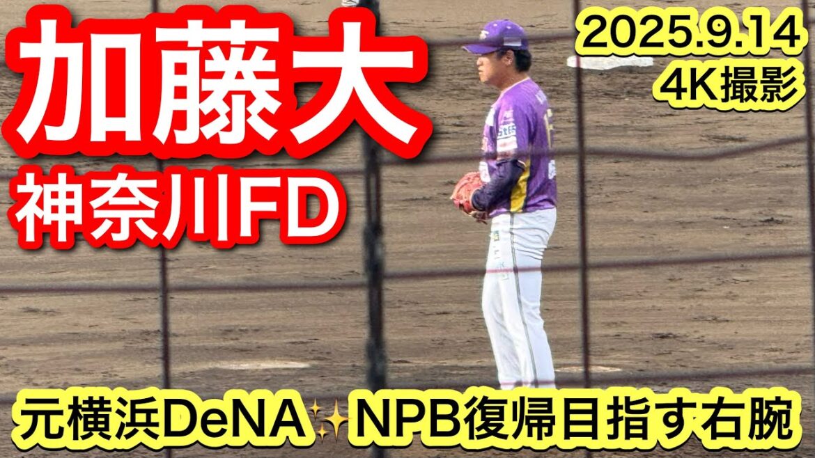 【元横浜DeNA✨NPB復帰目指す右腕】加藤大(横浜隼人−横浜DeNA−BCL神奈川)2025.9.14 BCLチャンピオンシップ 【元横浜DeNA✨NPB復帰目指す右腕】加藤大(横浜隼人−横浜DeNA−BCL神奈川)2025.9.14 BCLチャンピオンシップ