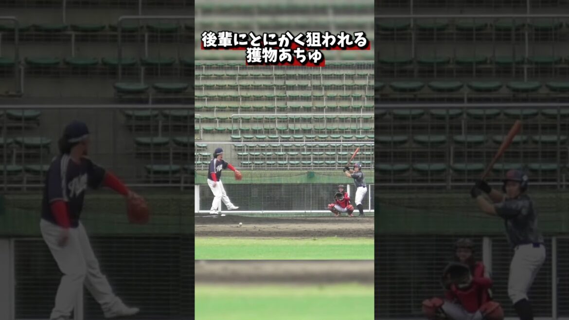 一本打ちの前のフリー打撃で後輩に狙われ続けるあちゅ  #shorts #baseball #野球 #ピッチング #ピッチングフォーム