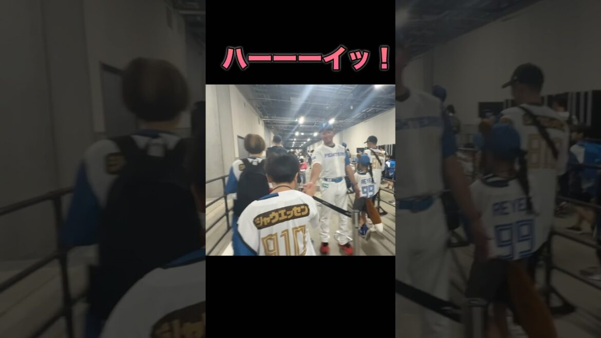 伊藤大海投手がかっこよすぎた‼︎✨瞬きのハイタッチw#伊藤投手#ハイタッチ#かっこいい