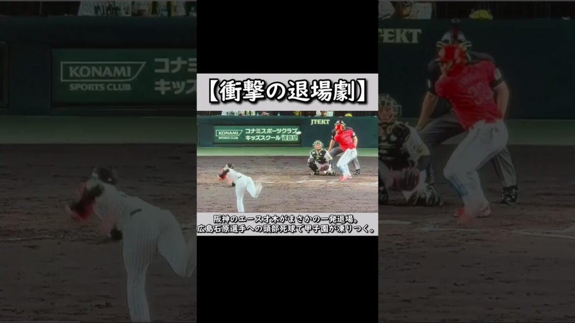 【衝撃の退場劇】阪神のエース才木がまさかの一発退場。広島石原選手への頭部死球で甲子園が凍りつく。