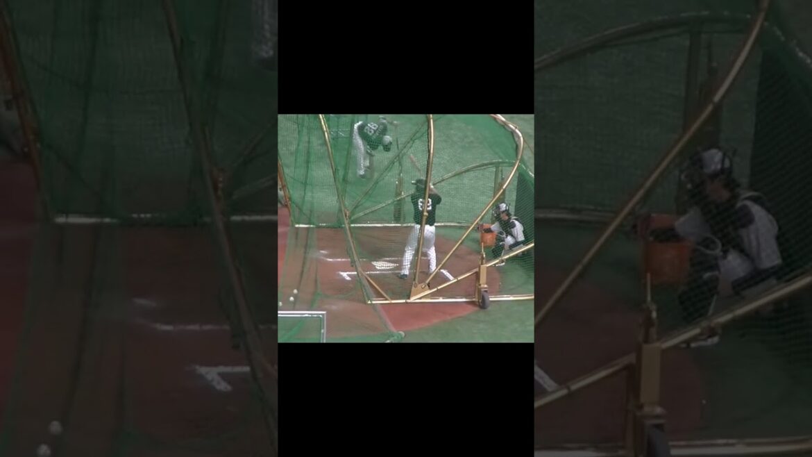 ソフバン海野隆司のフリーバッティング【読売ジャイアンツ対ソフトバンクホークス2024年5月30日】