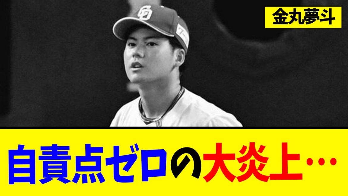 『金丸夢斗ちゃんを救いたい』