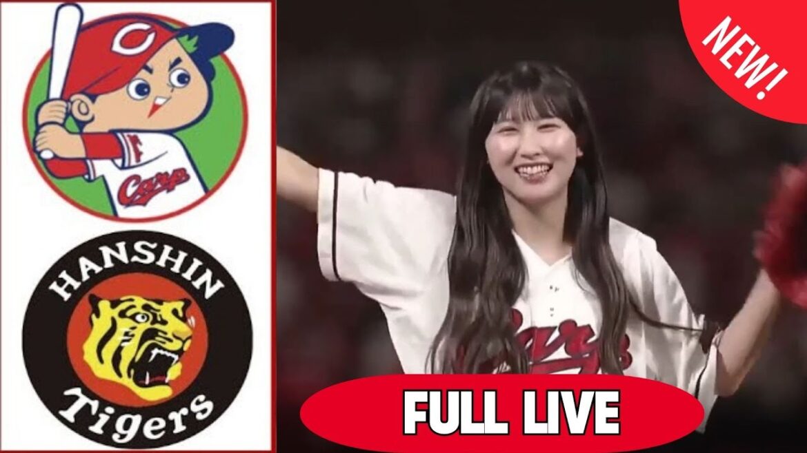 野球 9月17日【広島 vs 阪神】ハイライト vs ホームラン ～ 2025 セ・リーグ プロ野球