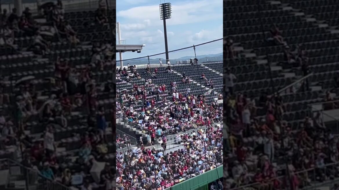 楽天イーグルス ファーム応援風景【伊藤裕季也】（2025年9月5日）