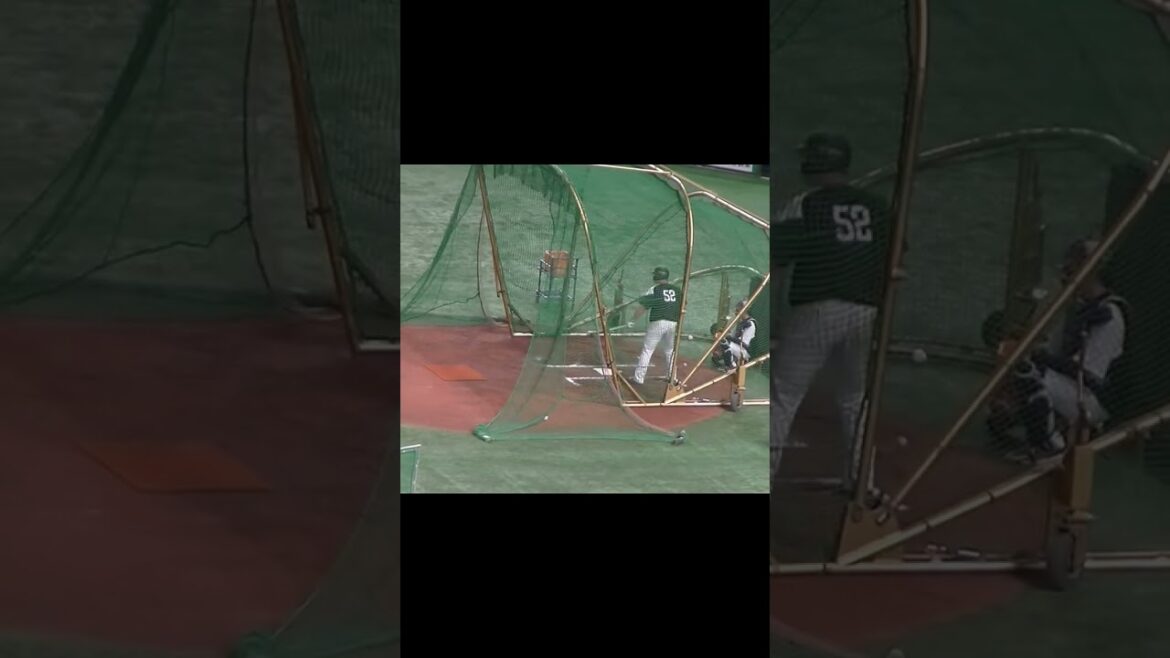 【ソフトバンク】リチャードのフリーバッティング＜読売ジャイアンツ対 福岡ソフトバンクホークス2024年5月28日＞