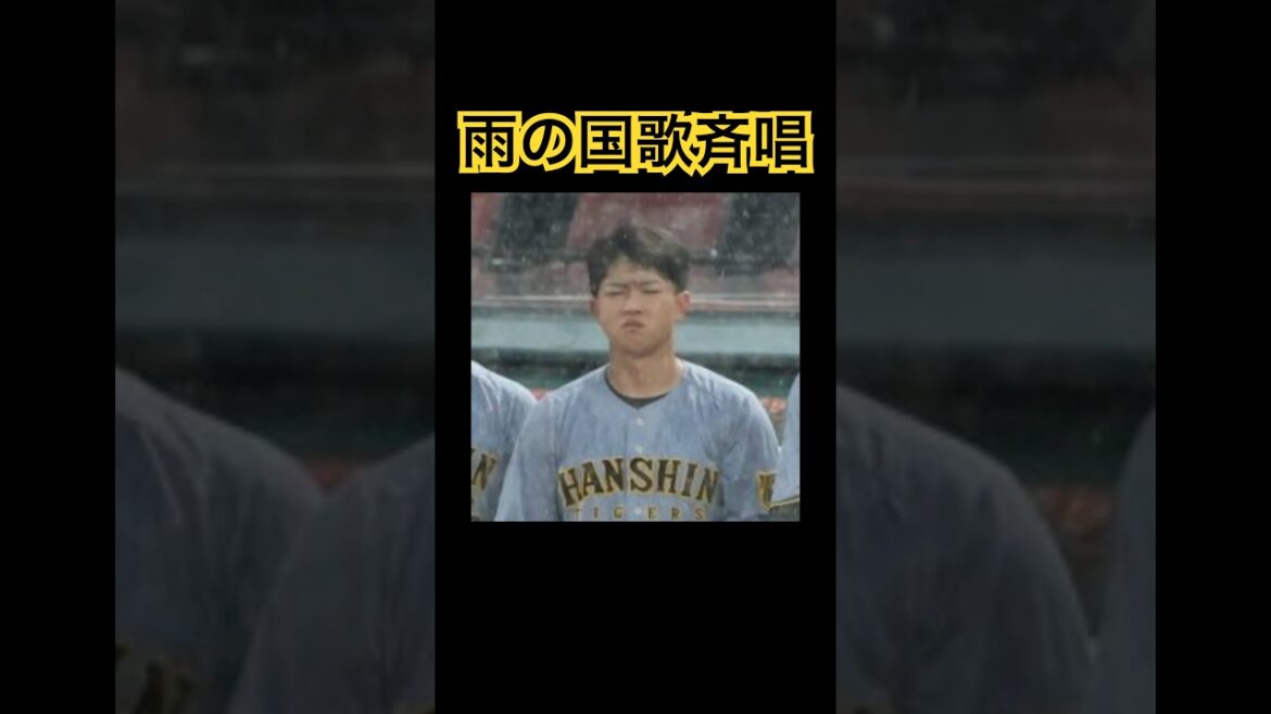 雨の国歌斉唱 #阪神タイガース #国歌斉唱 #野球 #shorts