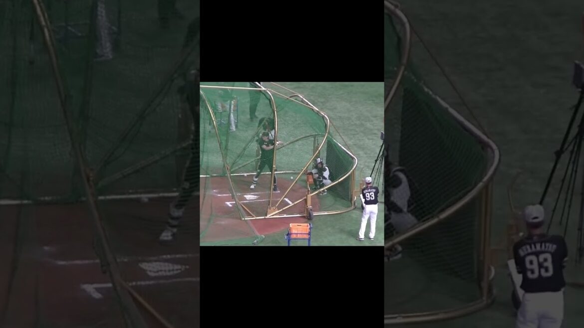 ソフバン周東佑京のフリーバッティング【読売ジャイアンツ対ソフトバンクホークス2024年5月30日】