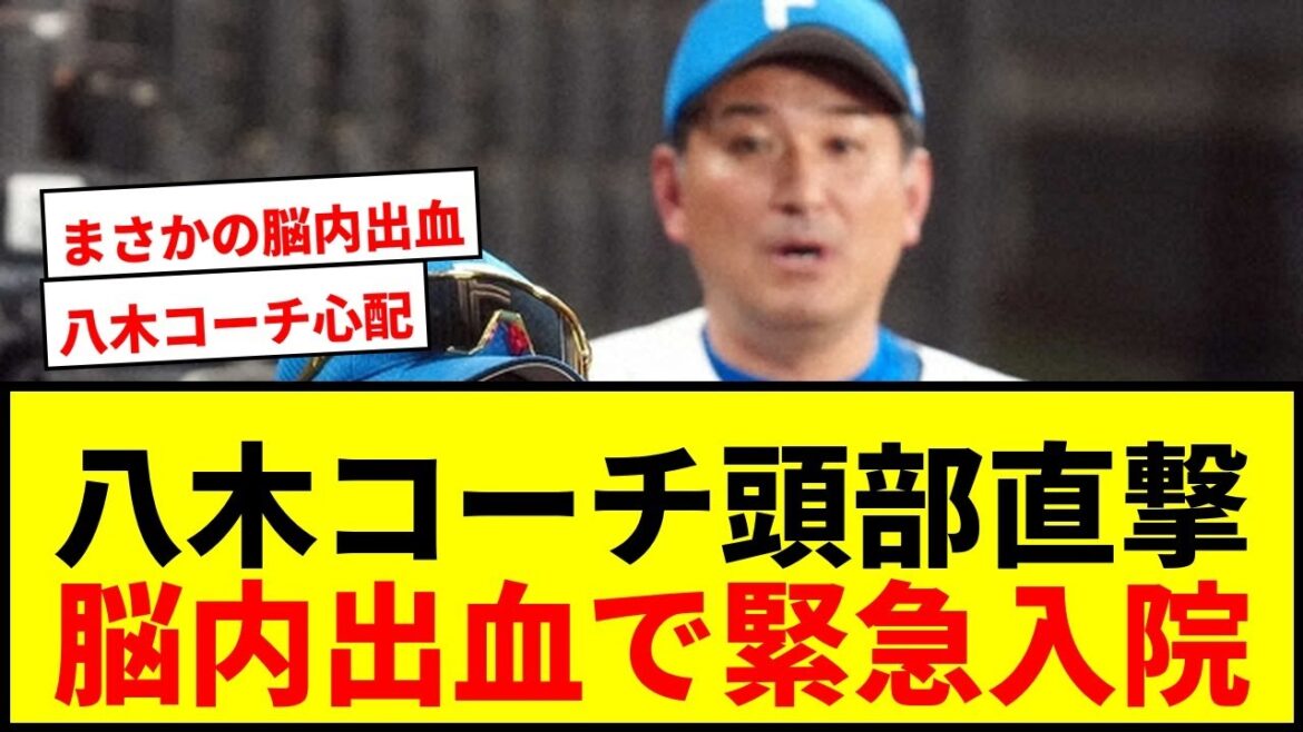 【速報】日本ハム・八木コーチ、頭部バット直撃で脳内出血・腫れで入院!横尾2軍コーチが1軍同行へ 【速報】日本ハム・八木コーチ、頭部バット直撃で脳内出血・腫れで入院!横尾2軍コーチが1軍同行へ
