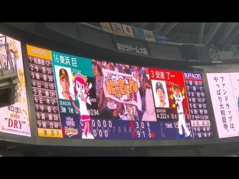 20240627 安達了一 第3打席の登場曲【「ダイヤモンドスマイル」/なにわ男子】 6回ウラ オリックス・バファローズ@京セラドーム大阪・レフト外野下段 20240627 安達了一 第3打席の登場曲【「ダイヤモンドスマイル」/なにわ男子】 6回ウラ オリックス・バファローズ@京セラドーム大阪・レフト外野下段