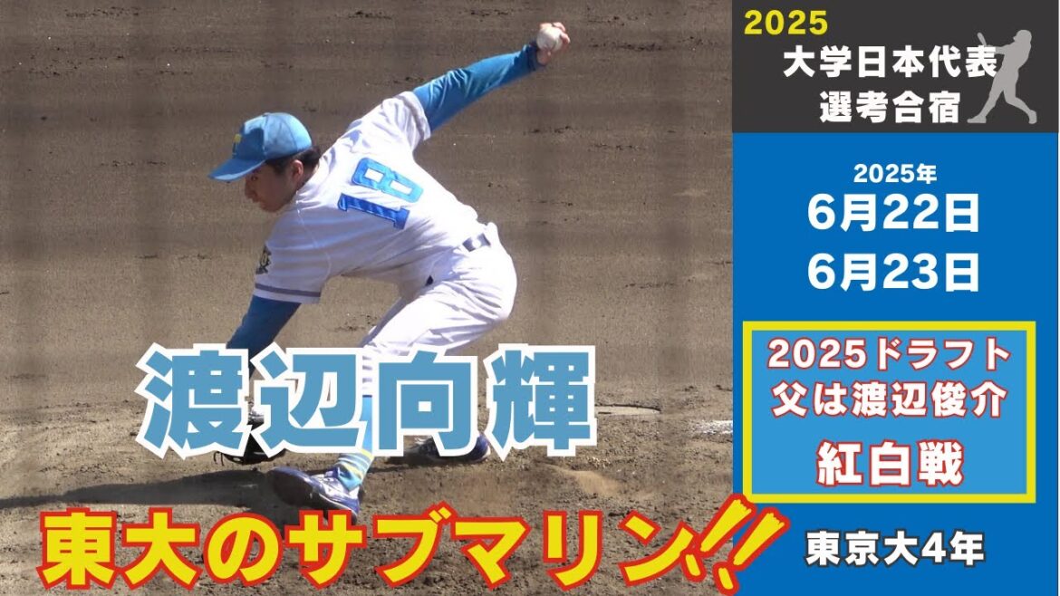 【侍ジャパン大学日本代表選考合宿】渡辺向輝（東京大4年）選手プレー集　（紅白戦全投球・投球フォーム）