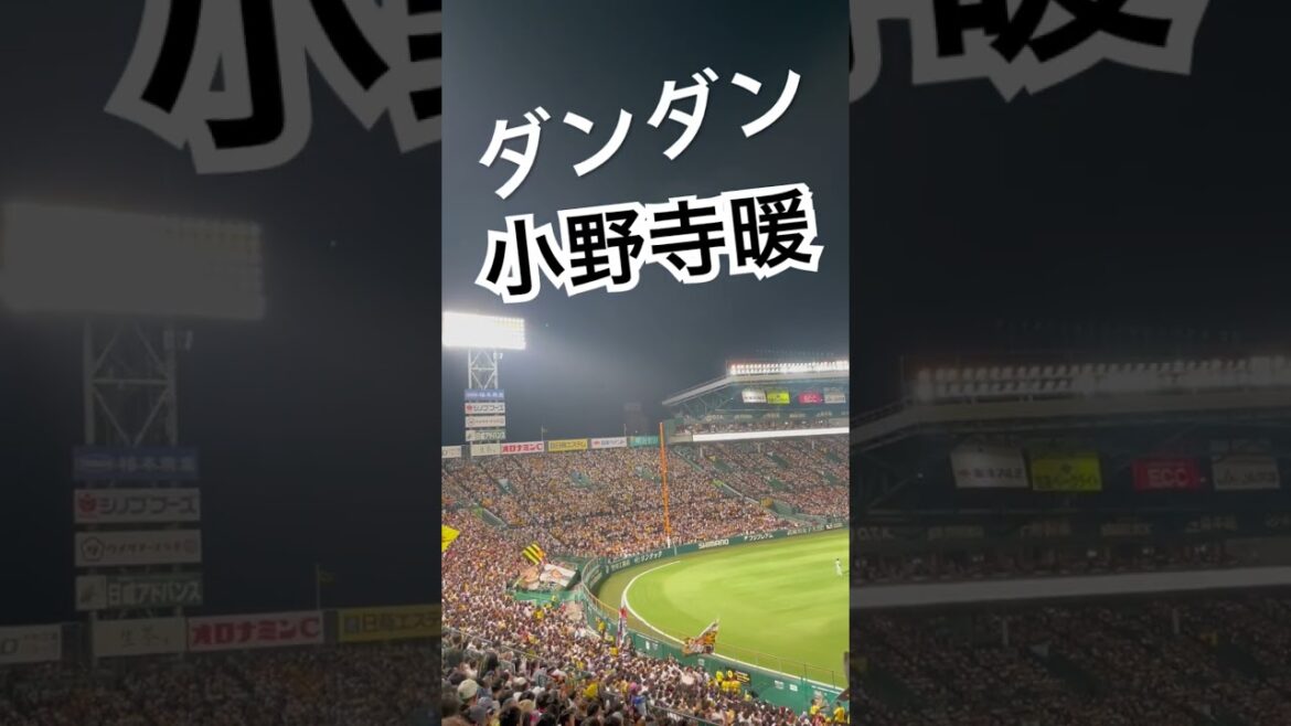 #阪神応援 #小野寺暖 #タイガース #阪神 #森下翔太 #猛虎 #hanshin #アレ#優勝 #マジック