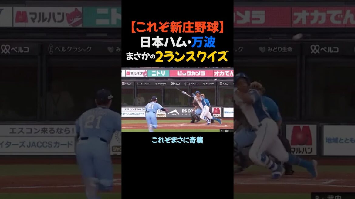 【これぞ新庄野球】日本ハム・万波まさかの2ランスクイズ #プロ野球 #北海道日本ハムファイターズ 【これぞ新庄野球】日本ハム・万波まさかの2ランスクイズ #プロ野球 #北海道日本ハムファイターズ