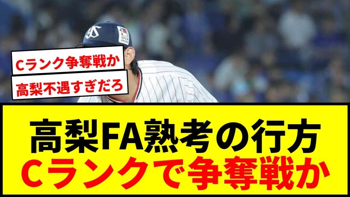 【ヤクルト】高梨裕稔が国内FA権行使を熟考！Cランクで補償不要も去就は？