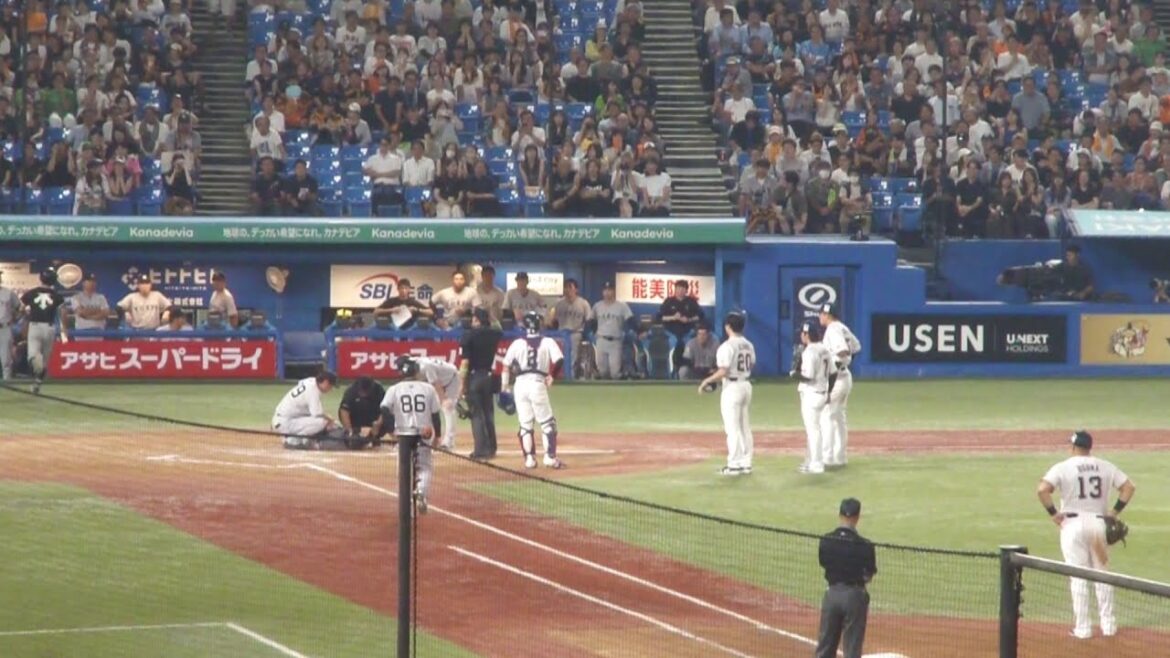巨人 岸田行倫 デッドボールで負傷のアクシデント　ヤクルト vs 巨人　2025年9月17日(水)　神宮球場