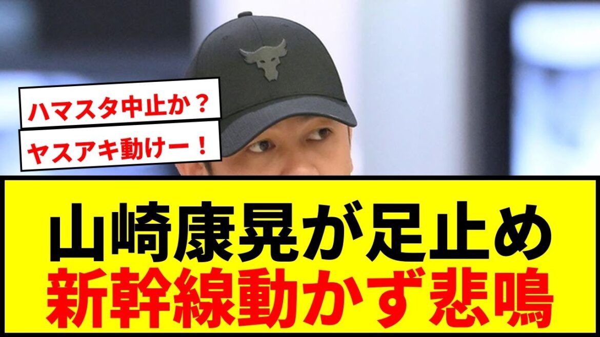 【速報】DeNA山崎康晃が新幹線で足止め！台風直撃で「動けーっ！！」悲痛な叫びwww
