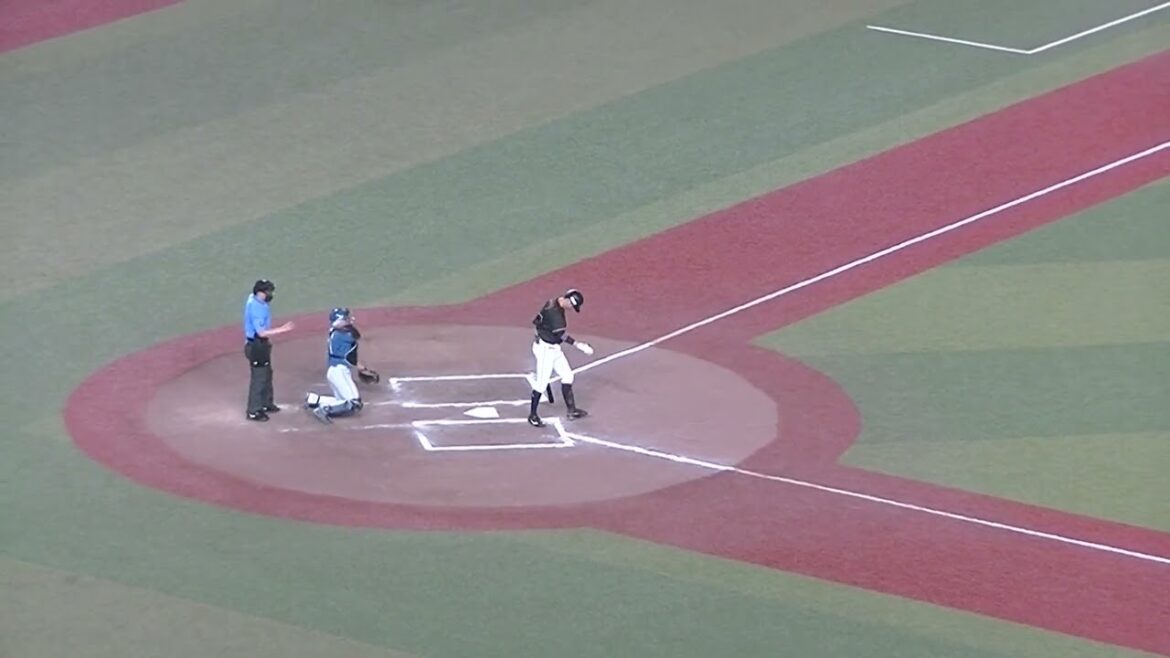 岡大海を三振にとる加藤貴之 2024年7月19日 千葉ロッテマリーンズ対 北海道日本ハムファイターズ