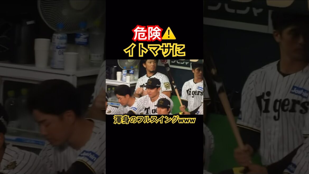 伊藤将司びっくり‼️坂本の素振りがwww #阪神タイガース #坂本 #伊藤将司 #shorts