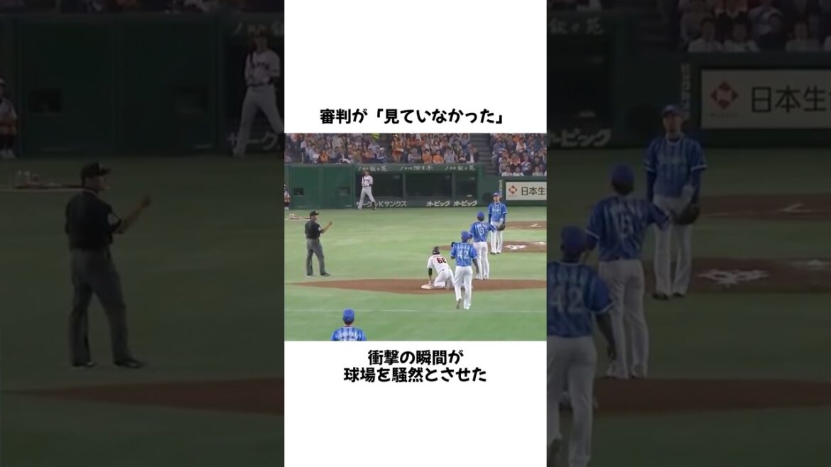 審判が見ていない。試合を壊す衝撃の瞬間 #野球 #プロ野球 #shorts